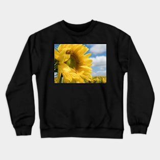 The Sunflower Crewneck Sweatshirt